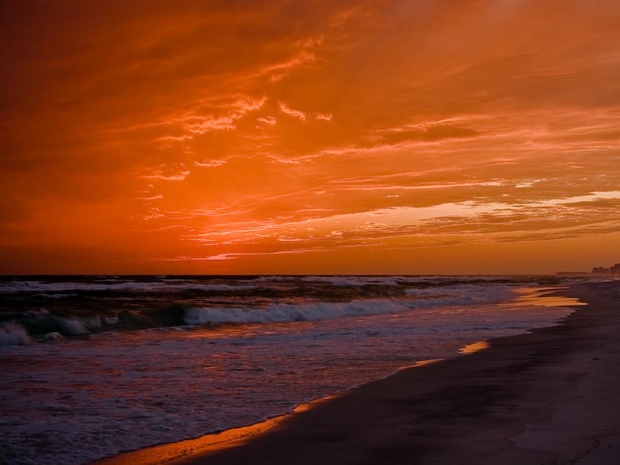 Coral_Reef_Club_2_4481