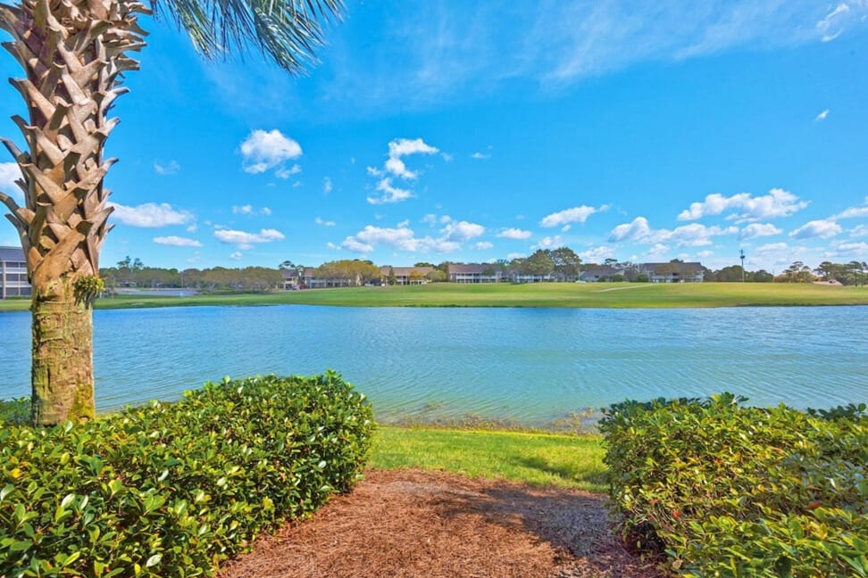 View from the back of the unit looking north.
