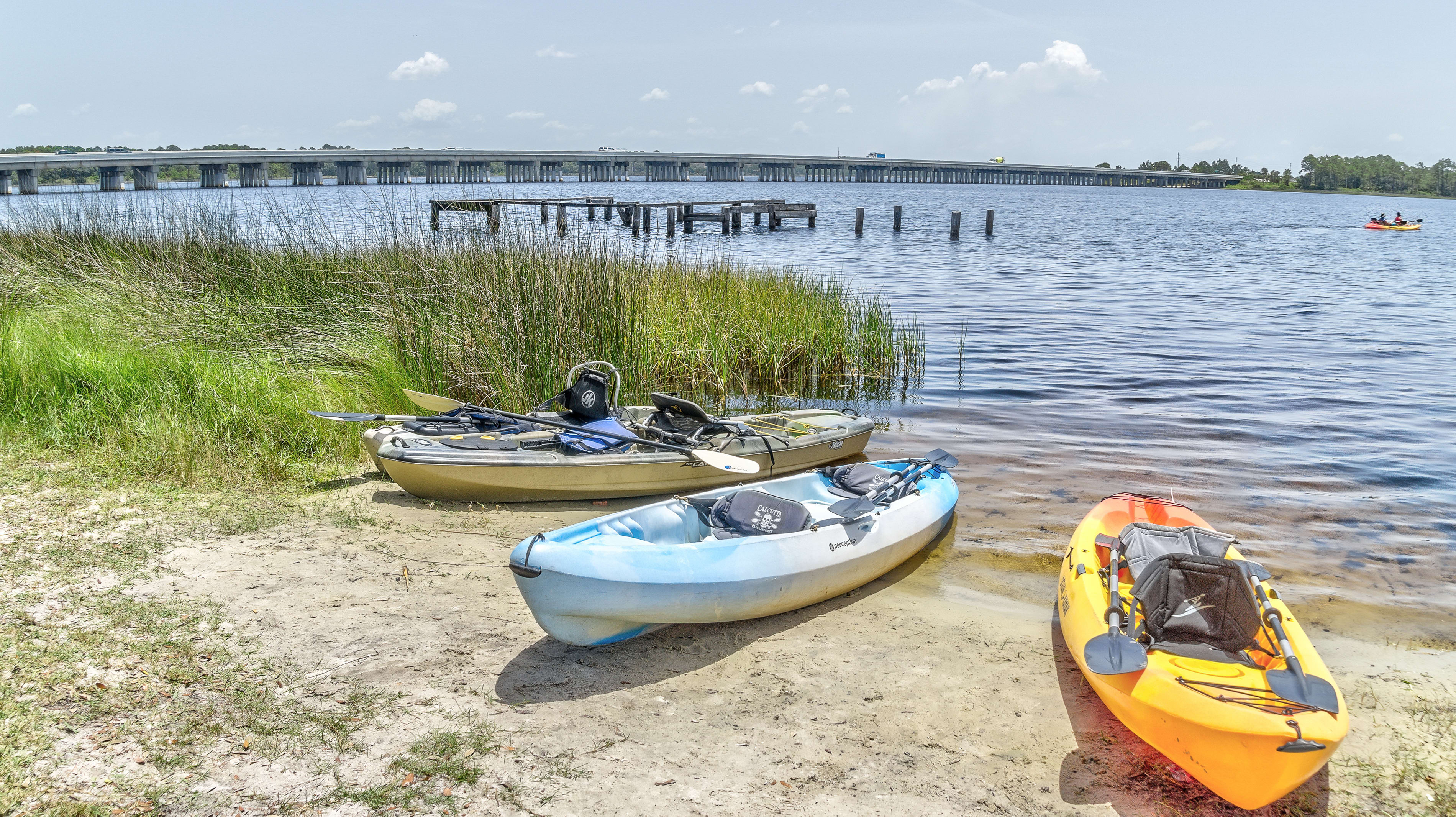 Explore Powell Lake in a Kayak Rental
