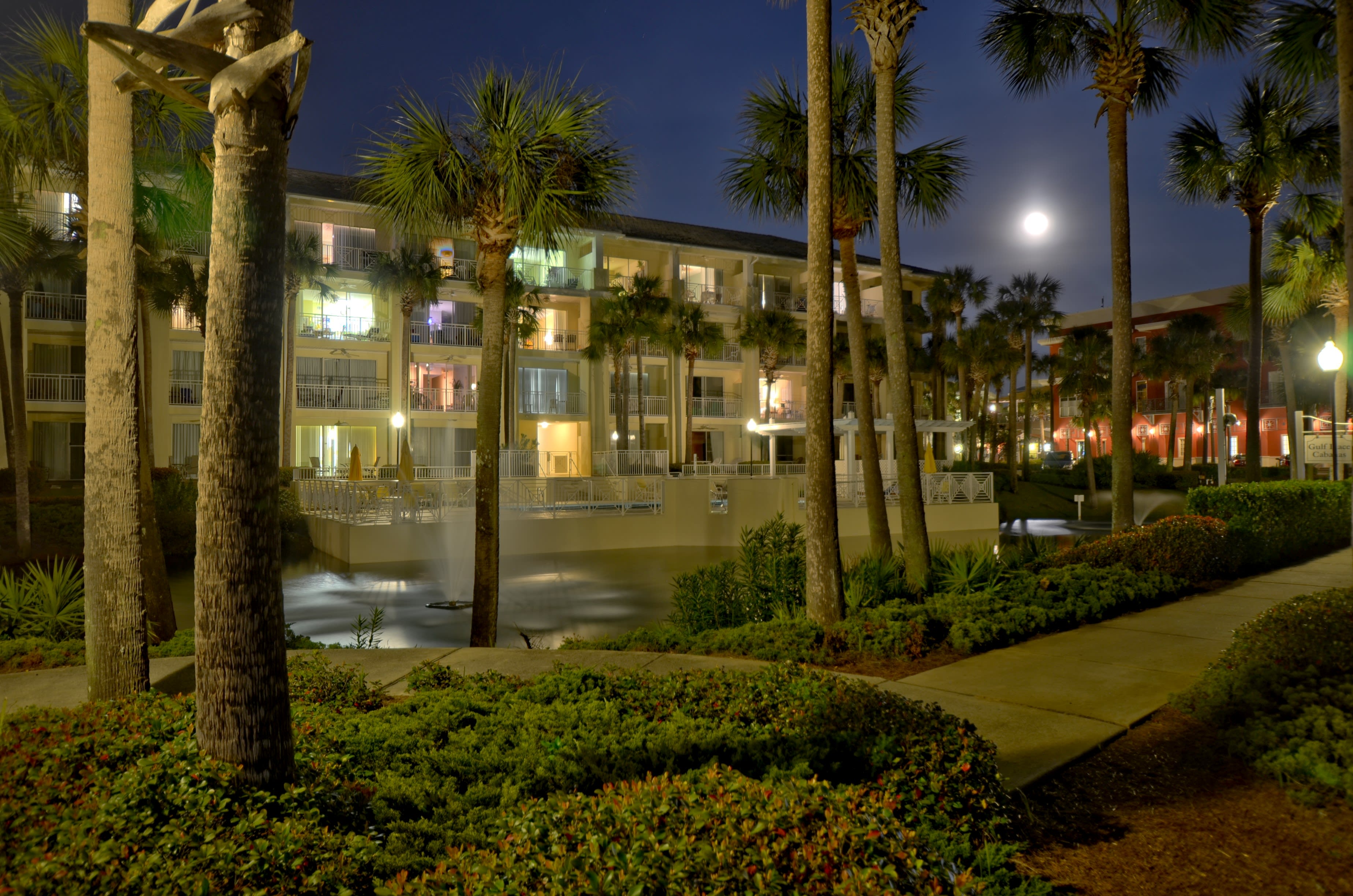 The palm trees are lit up at night.