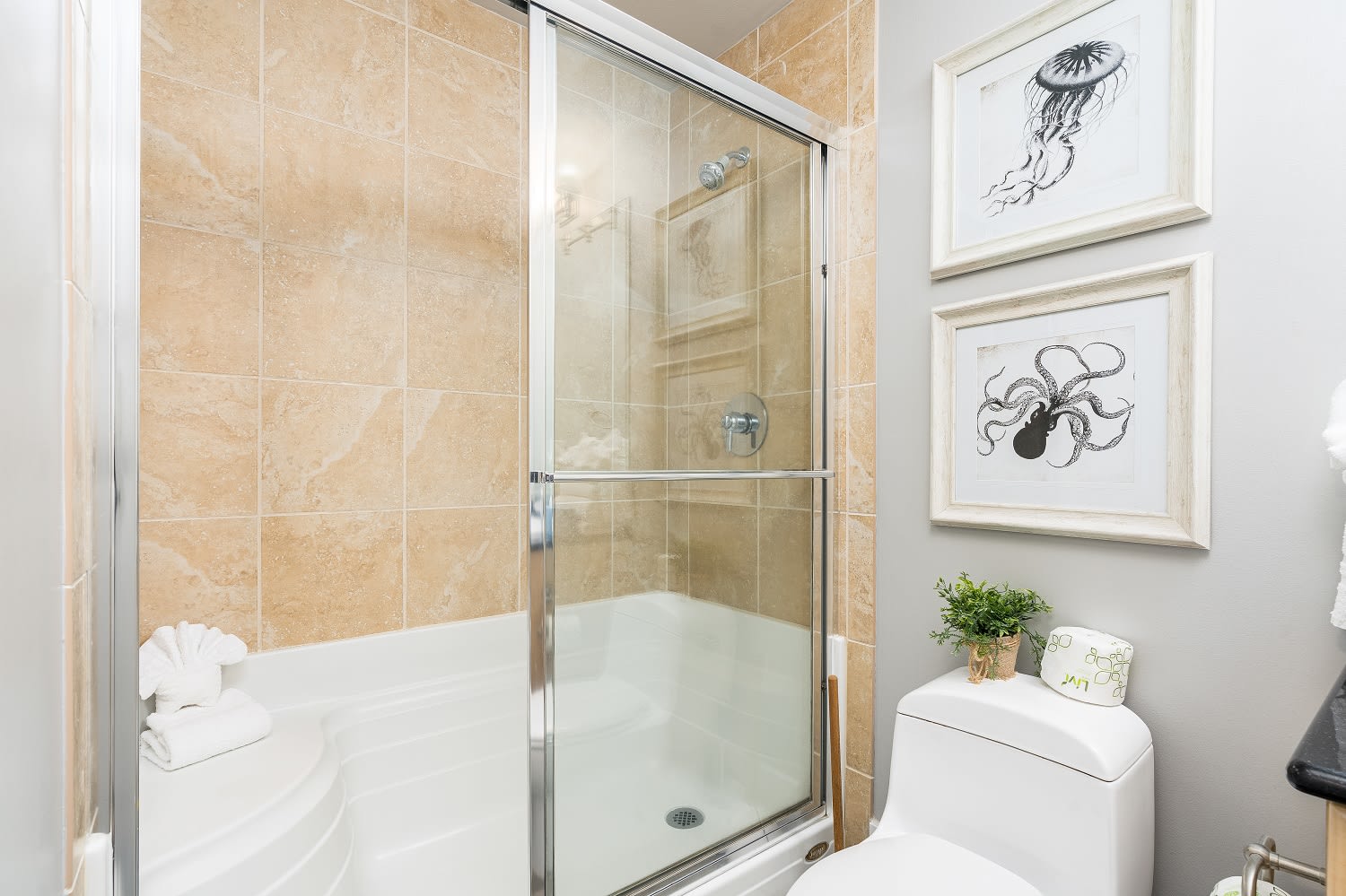 26 Caribe 305C Bathroom 2