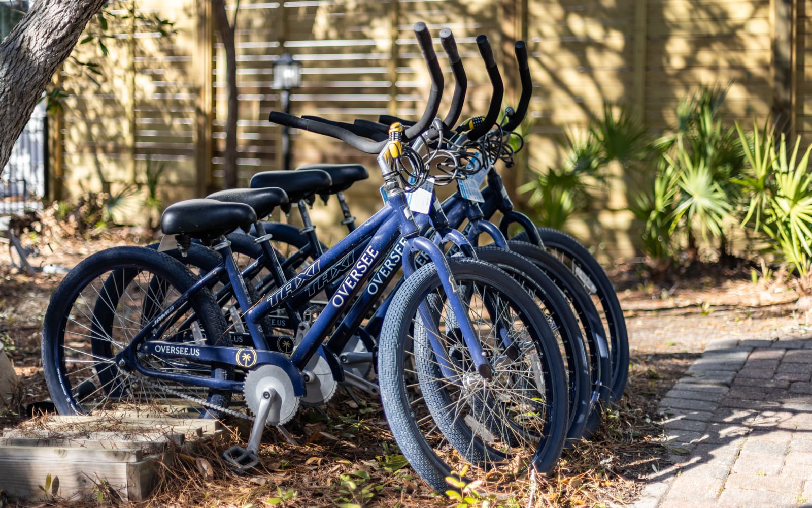Your adventure awaits with complimentary bikes ready to explore the scenic neighborhood at your own pace.