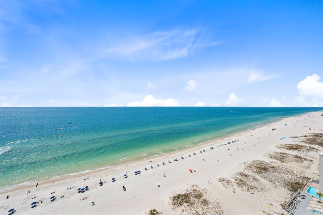 30 San Carlos Penthouse 5 View