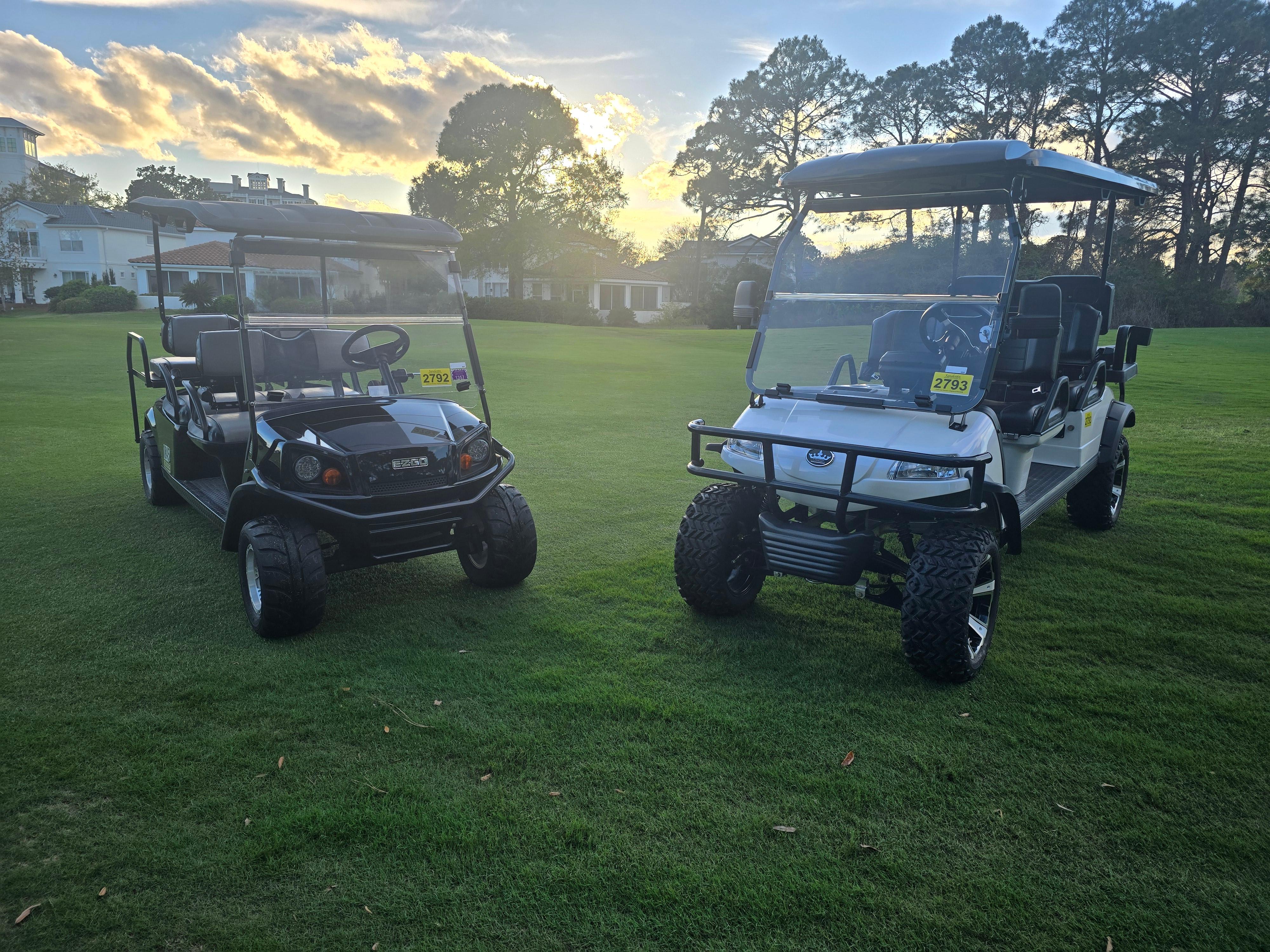 Two 6-Passenger Golf Cart Included