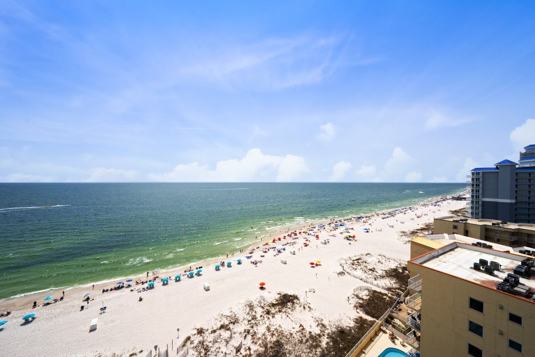 25 Colonnades 1202 View