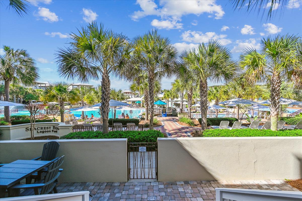 Lagoon Pool and Paved Patio in the Back of the House