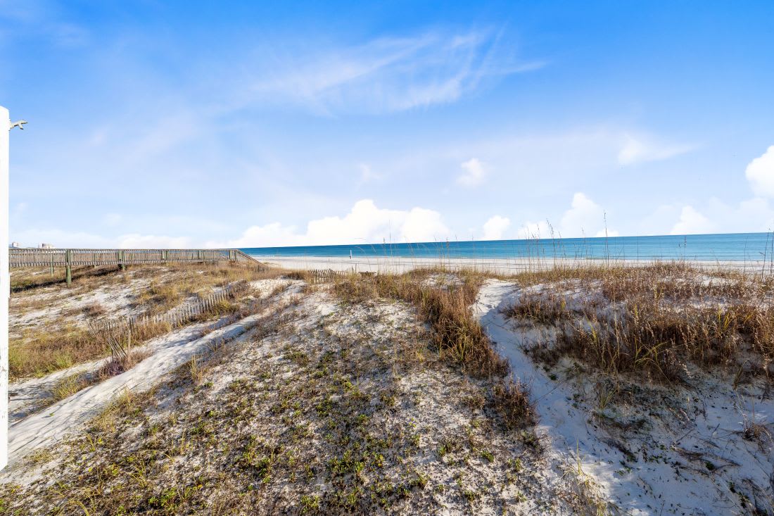 24 The Beach Shack Beachfront View