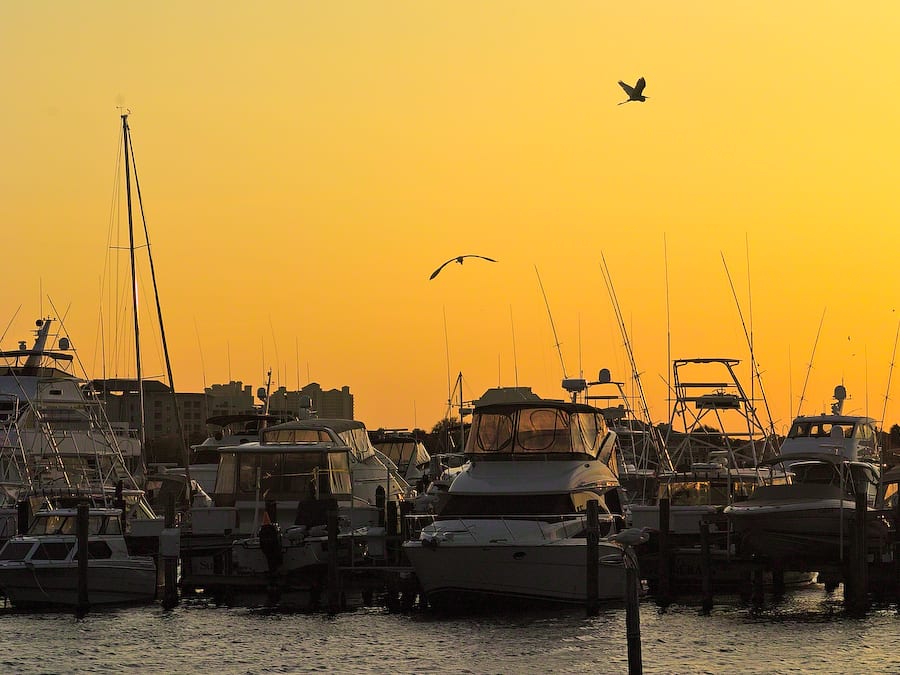 Coral_Reef_Club_2_4470