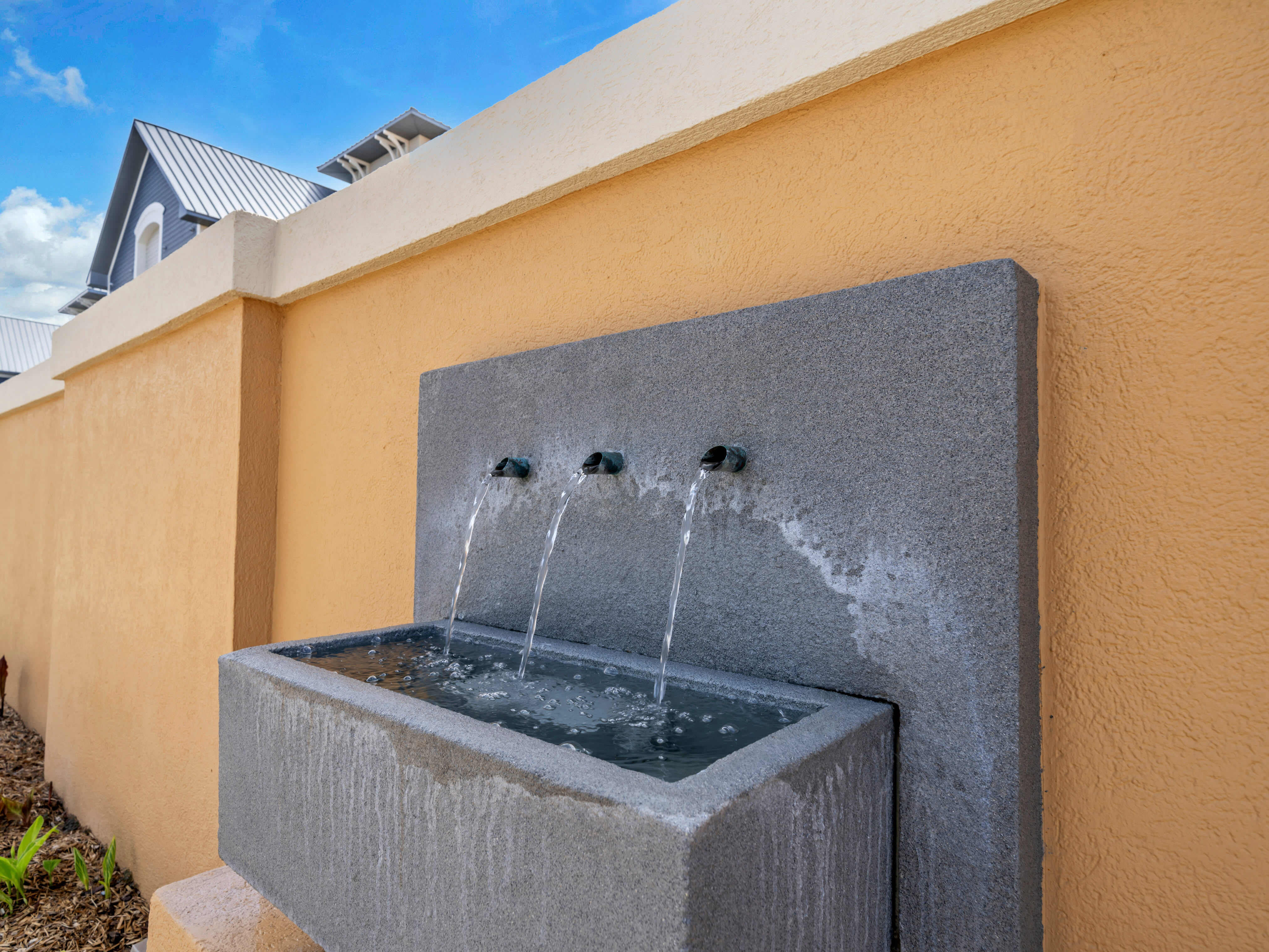 Coral_Reef_Club_2_7049