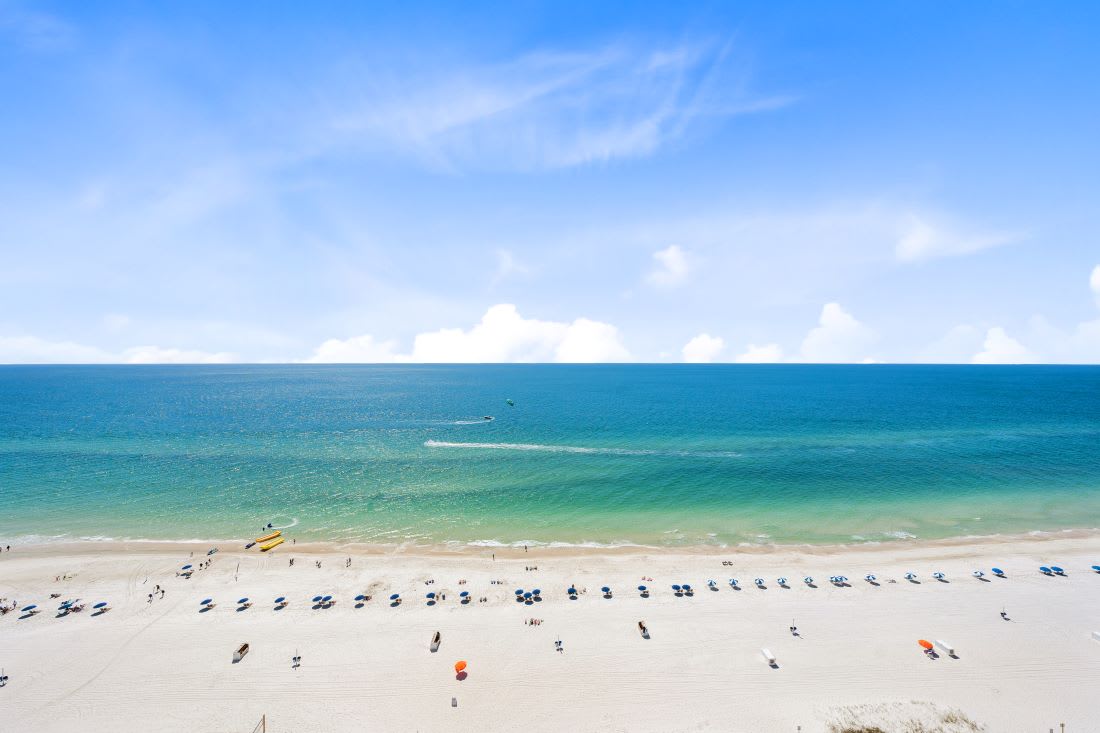 29 San Carlos Penthouse 5 View