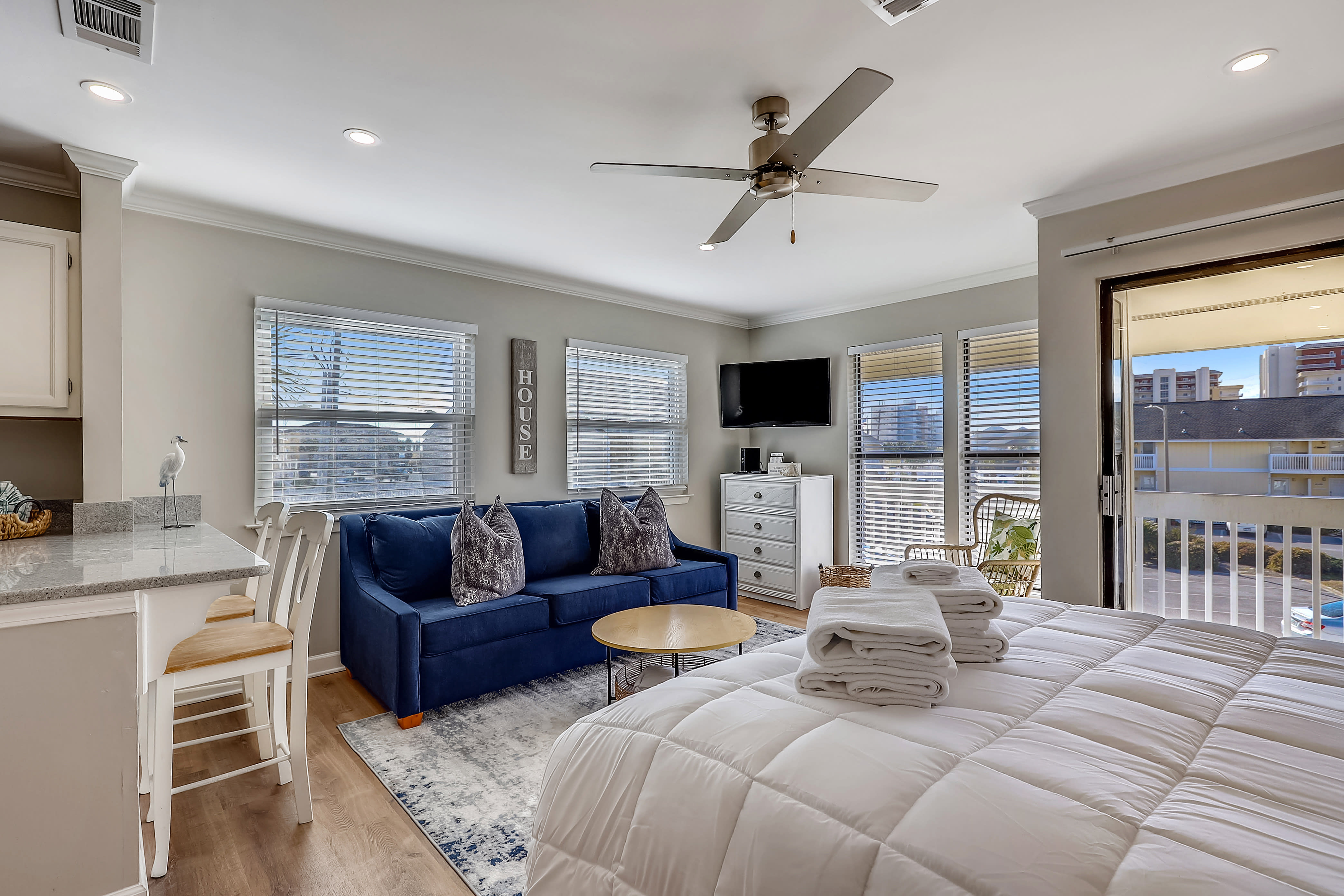 Living room/Sleeping Area