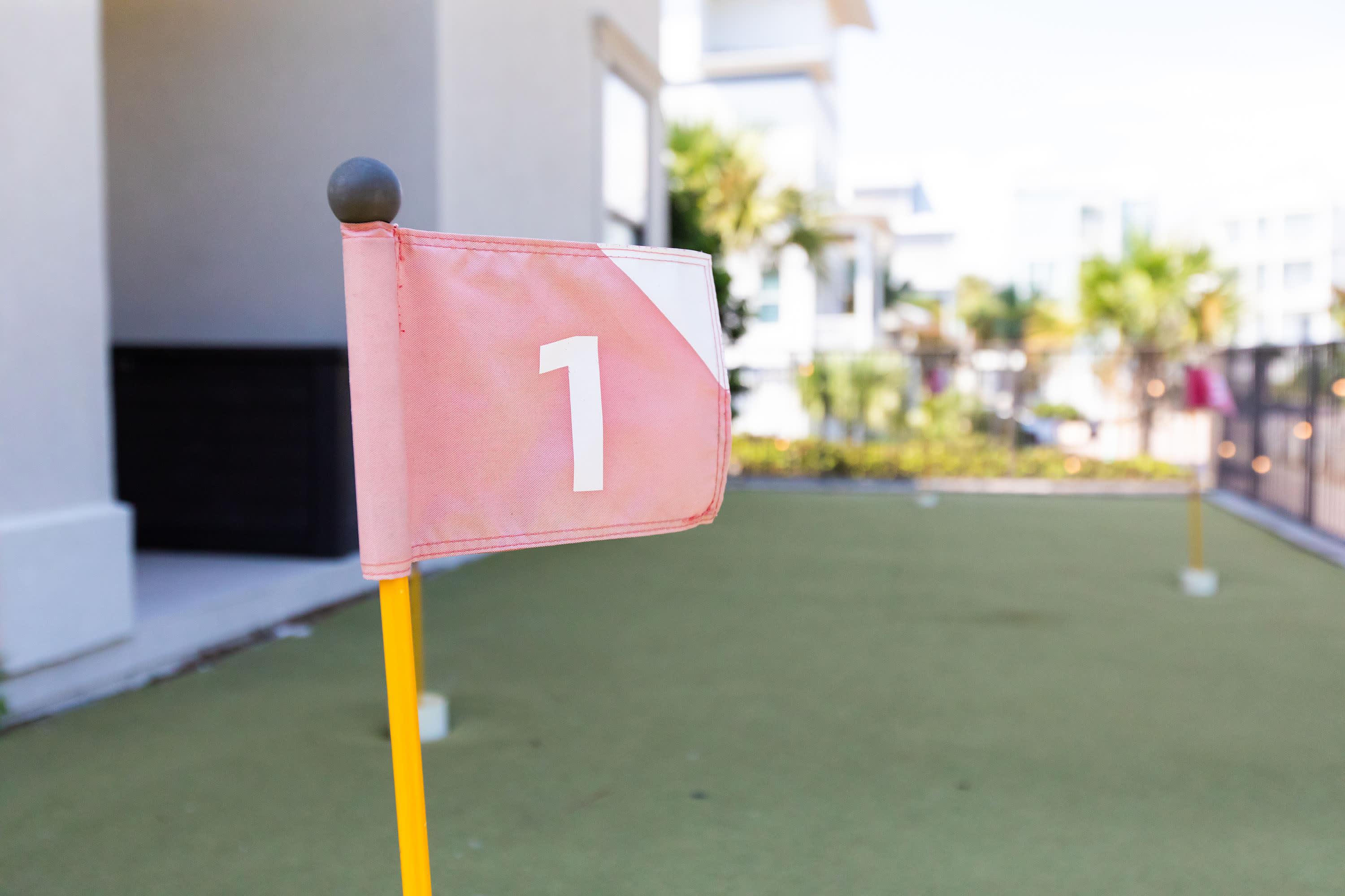 Clubs and golf balls provided