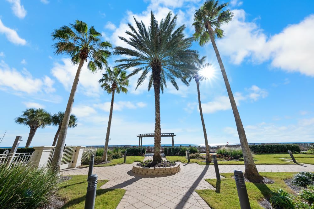 A41 BC CATALINA PROMENADE