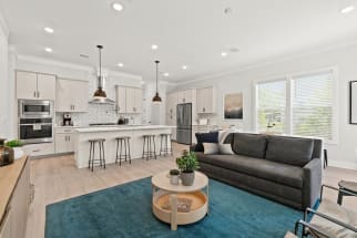 30A-Beaches-South Walton Vacation Rental 11043