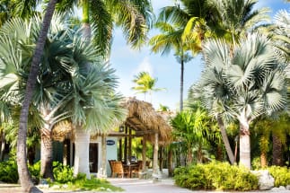 Islamorada Vacation Rental 29039