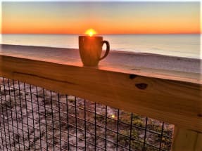 St George Island Vacation Rental 7986