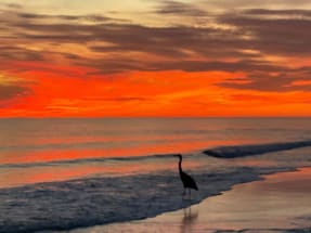 Fort Walton Beach Vacation Rental 9182