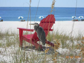 Orange Beach Vacation Rental 13160