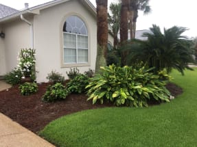 Miramar Beach Vacation Rental 8971