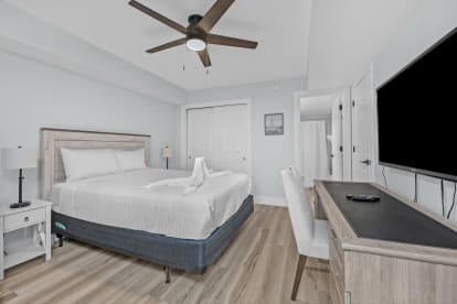 Bluegrass Beach Hideaway | {{City}}, {{State}} Vacation Rental | #30