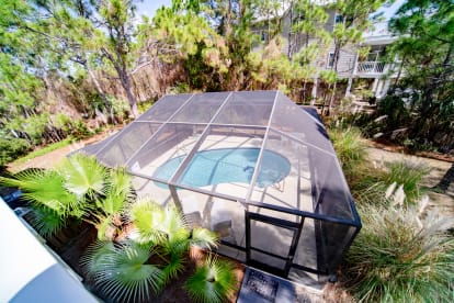 Dolphin Dreams | {{City}}, {{State}} Vacation Rental | #31