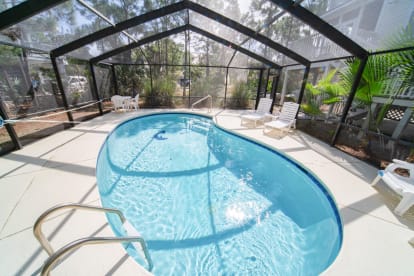 Dolphin Dreams | {{City}}, {{State}} Vacation Rental | #30