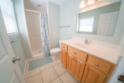 Dolphin Dreams | {{City}}, {{State}} Vacation Rental | #26