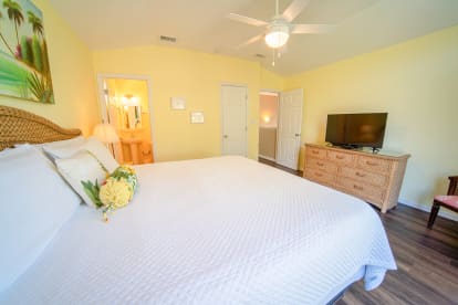 Dolphin Dreams | {{City}}, {{State}} Vacation Rental | #21