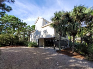 Dolphin Dreams | {{City}}, {{State}} Vacation Rental | #32