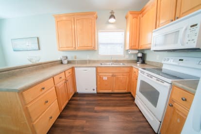 Dolphin Dreams | {{City}}, {{State}} Vacation Rental | #7