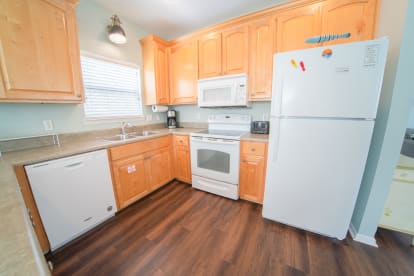 Dolphin Dreams | {{City}}, {{State}} Vacation Rental | #8