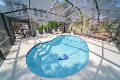 Dolphin Dreams | {{City}}, {{State}} Vacation Rental | #29