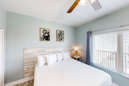 Shores of Panama 2104 - Thumbnail Image #10