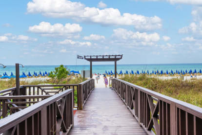 Shores of Panama 802 - Thumbnail Image #31