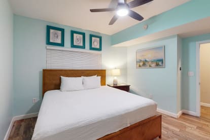 Shores of Panama 802 - Thumbnail Image #19