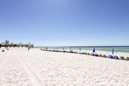 Shores of Panama 2011 - Thumbnail Image #35