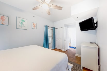 Shores of Panama 1720 - Thumbnail Image #20