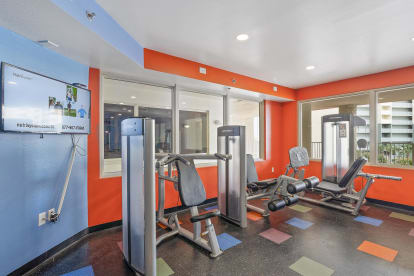 Shores of Panama 1615 - Thumbnail Image #44