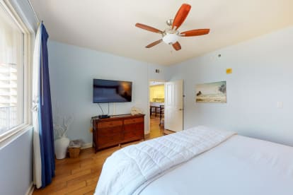 Shores of Panama 1615 - Thumbnail Image #14