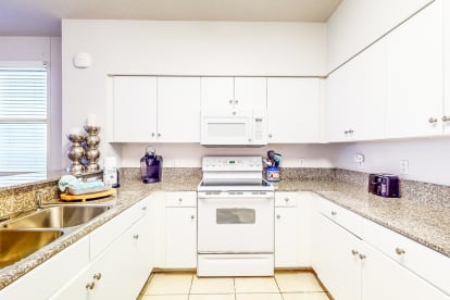 Shores of Panama 1001 - Thumbnail Image #9