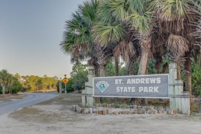 Shores of Panama 2124 - Thumbnail Image #39