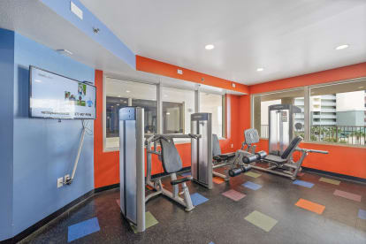 Shores of Panama 2113   - Thumbnail Image #27