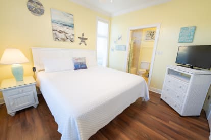 Turtley Rad | {{City}}, {{State}} Vacation Rental | #26