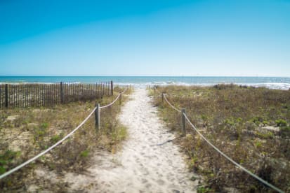 Tangerine Dream | {{City}}, {{State}} Vacation Rental | #33