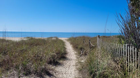 Island Sand Dollar | {{City}}, {{State}} Vacation Rental | #25