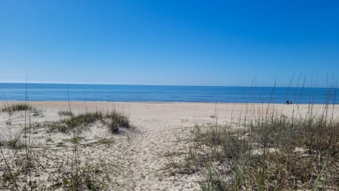 Island Sand Dollar | {{City}}, {{State}} Vacation Rental | #26