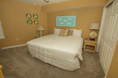 SeaCrest 705 | {{City}}, {{State}} Vacation Rental | #8