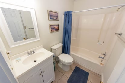 Island Sand Dollar | {{City}}, {{State}} Vacation Rental | #20
