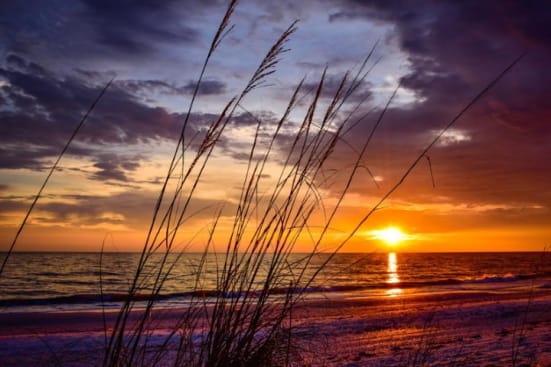 Orange Beach Vacation Rental 708