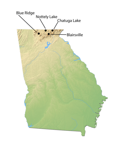 Georgia City Map for Cabin Rentals